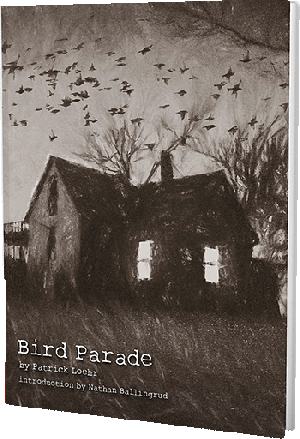 Bird Parade